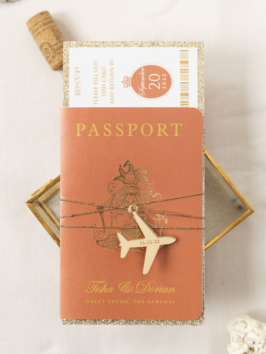 Acheter Couverture de passeport Laser, porte-passeport